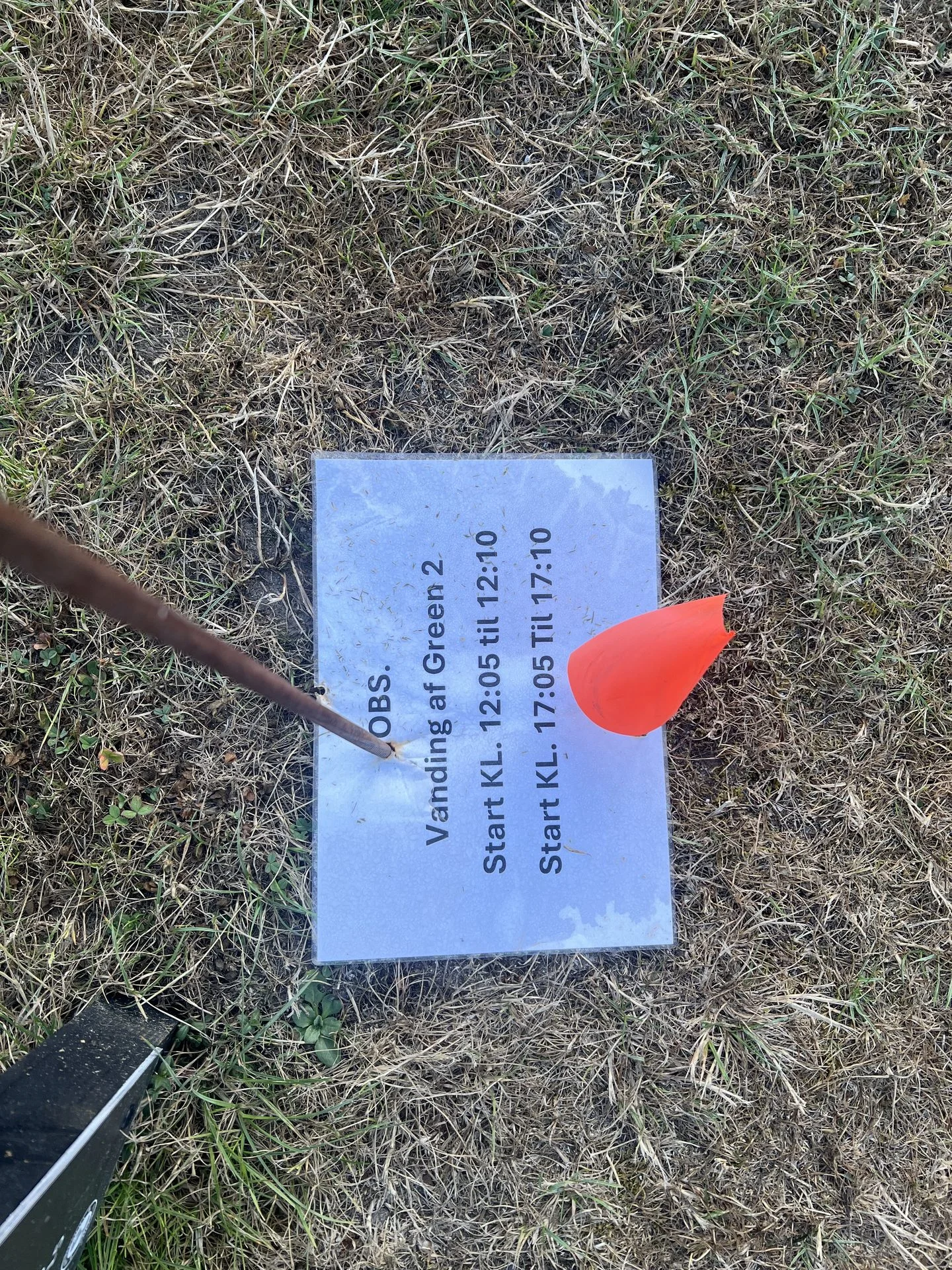 Velholdt green på Frederikshavn Golfklubs bane omgivet af skov