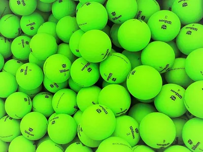 Wilson Staff Duo Optix (12 stk.) Golfbolde - Grøn