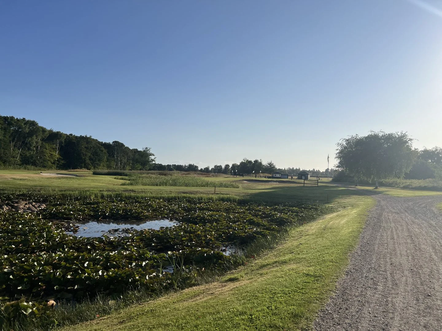 Overblik over den flade parkbane i Frederikshavn Golfklub med skov i baggrunden